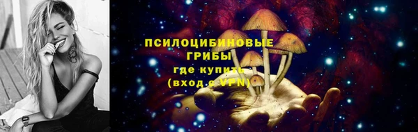 мяу мяу мука Дмитровск