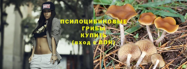 гидропоника Дмитриев