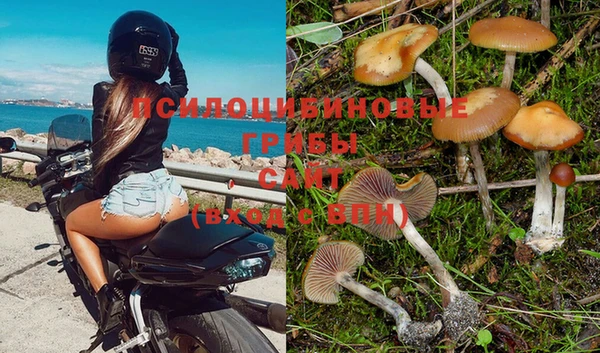 гидропоника Дмитриев