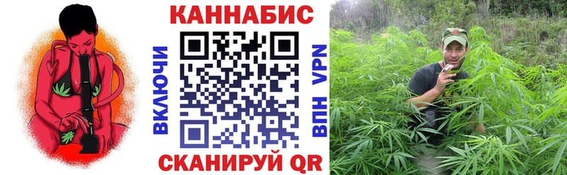 купить наркотик  Кингисепп  Конопля OG Kush 